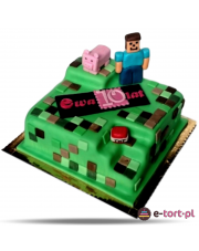 TORT MINECRAFT