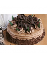 TORT MARCELLO 