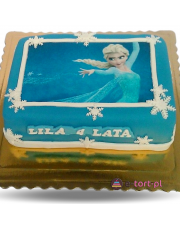 TORT KRAINA LODU