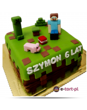 TORT według wł.koncepcji MINECRAFTna31.05